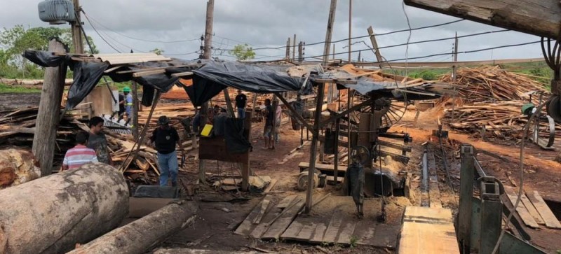 Madeireiras clandestinas são desativadas no Maranhão