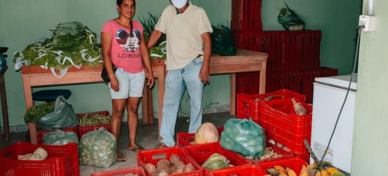 Valorização do agricultor centronovense