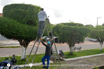 Mantendo o ritmo, Chico Velho continua com limpeza pública em plena atividade