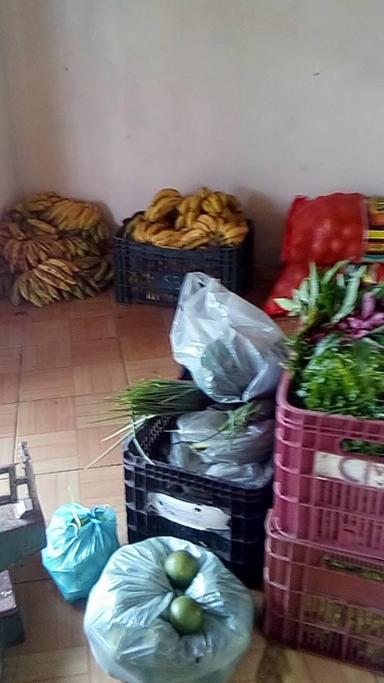 Apoio à agricultura familiar e merenda mais nutritiva nas escolas de Boa Vista do Gurupi