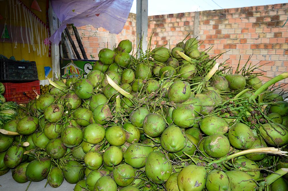 PAA fortalece a agricultura familiar em Boa Vista do Gurupi