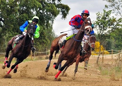 Inauguração do Jockey Club Anastácio é um dos eventos mais aguardados pelos maracaçumeenses