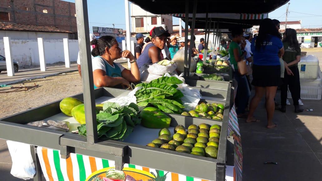 Agricultores recebem kits de agricultura familiar