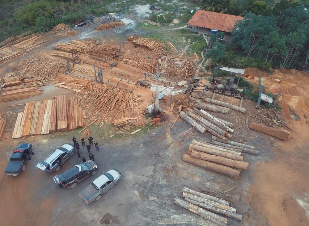 Polícia Federal fecha serrarias e apreende madeira ilegal em reservas do Maranhão