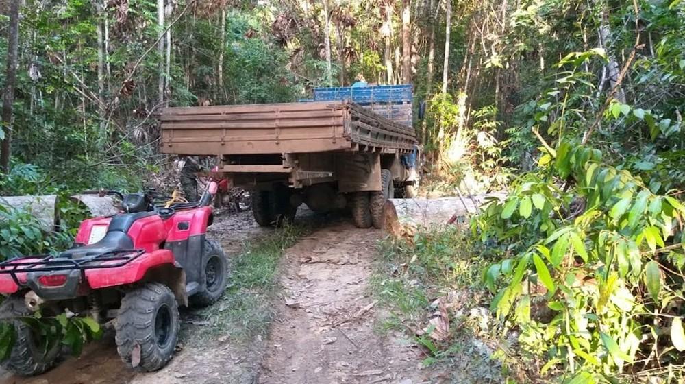 Índios denunciam ameaças de madeireiros em reserva no Maranhão