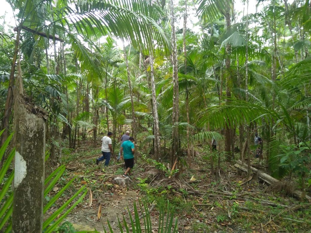 Tate do Ademar acredita na agricultura como fonte de renda para amapaenses