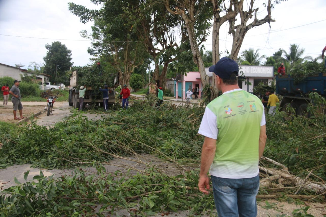 Prefeitura de Centro Novo realiza poda de árvores e limpeza da Avenida Ayrton Senna