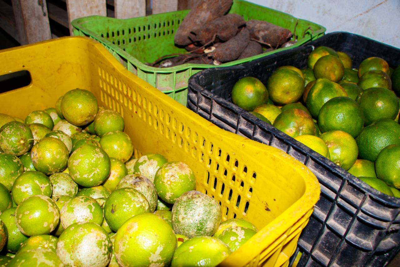 CRAS de Centro Novo realiza mais uma distribuição dos alimentos do PAA para famílias em situação de vulnerabilidade social