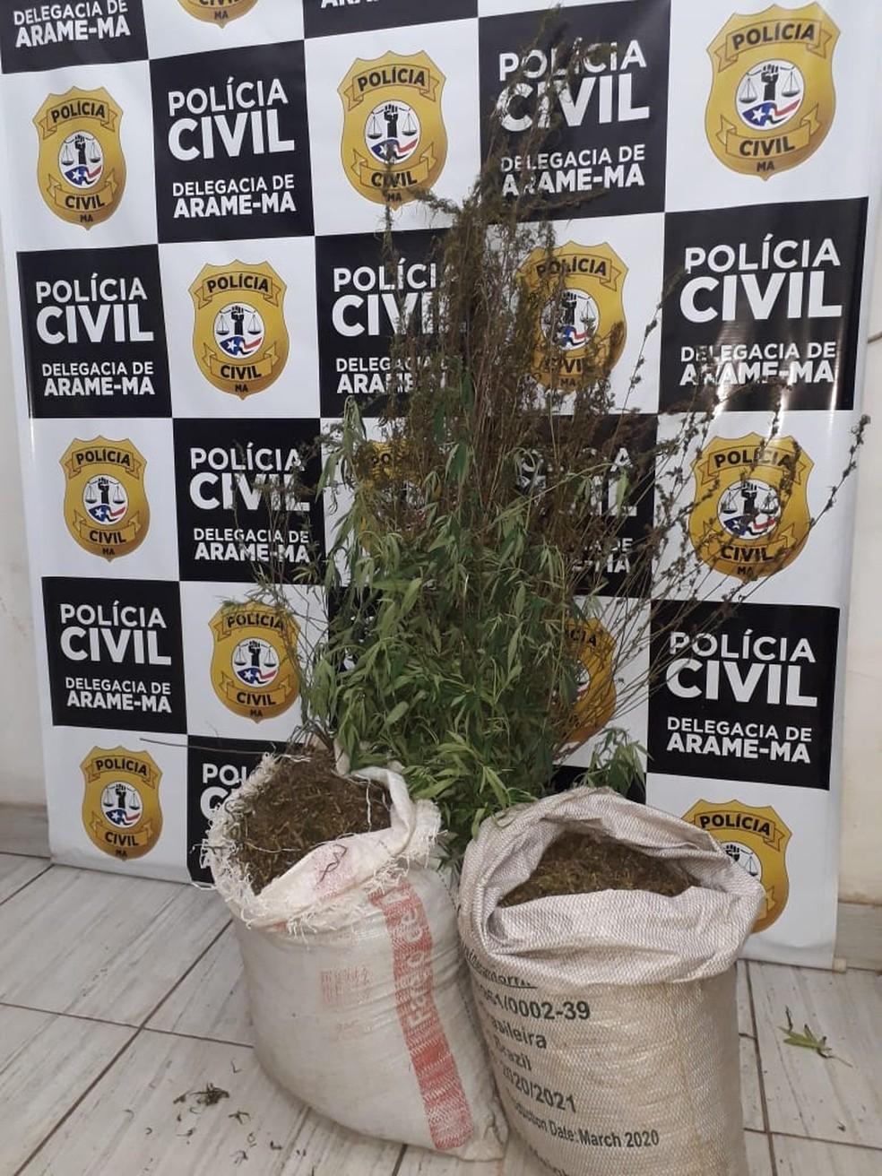 Polícia apreende pés de maconha e prende cinco pessoas suspeitas de tráfico de drogas no MA