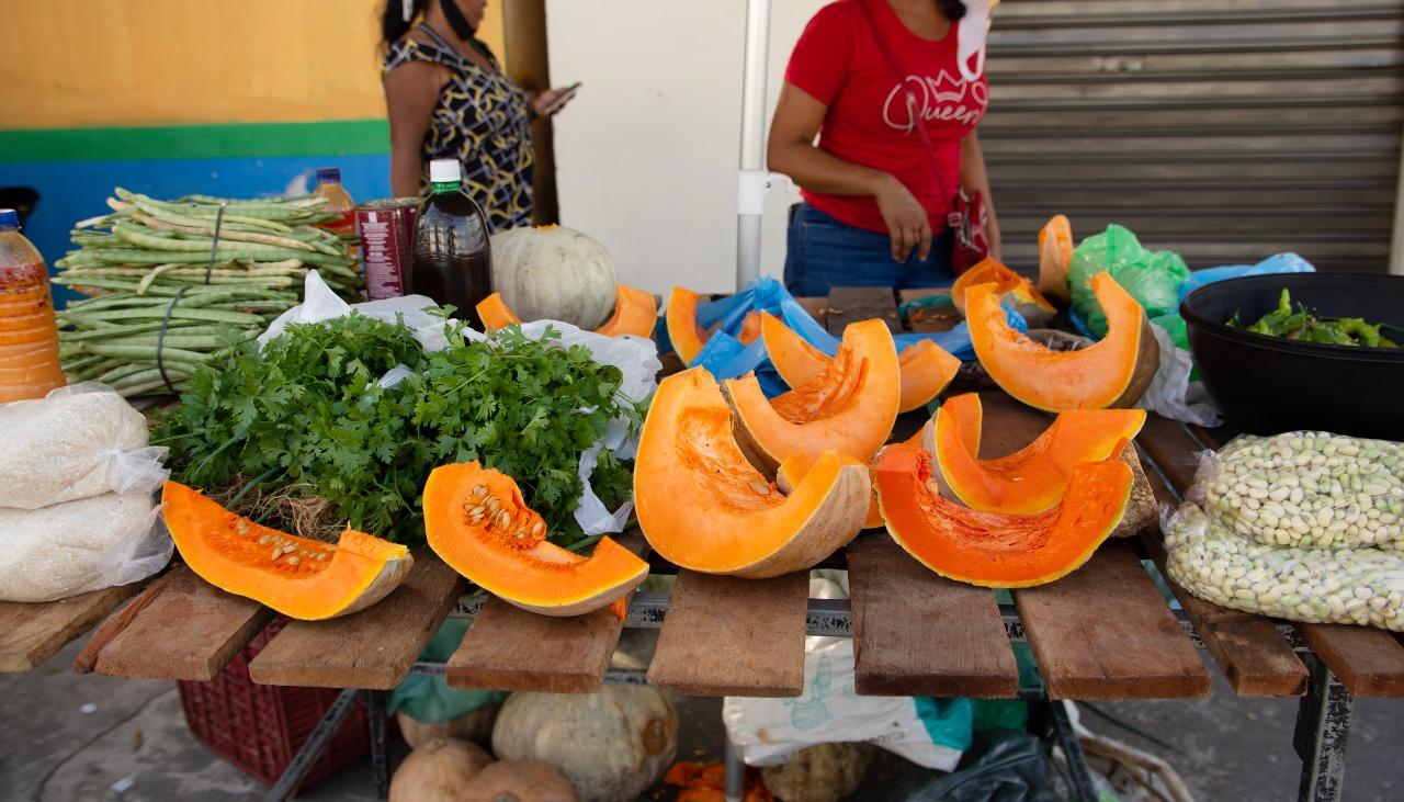 Feirinha da Agricultura Familiar estimula consumo de alimentos orgânicos e impulsiona agricultura familiar em Centro Novo do Maranhão