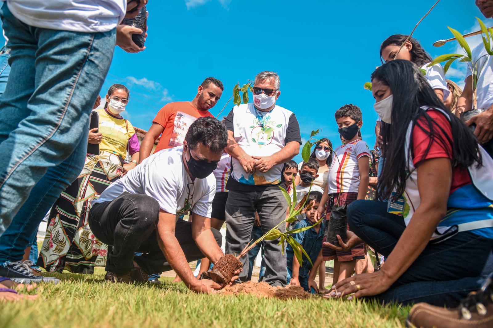 Plante uma esperança! Junco do Maranhão celebrou o Dia da Árvore com plantio de mudas e entrega dos cartões do Agente Jovem Ambiental