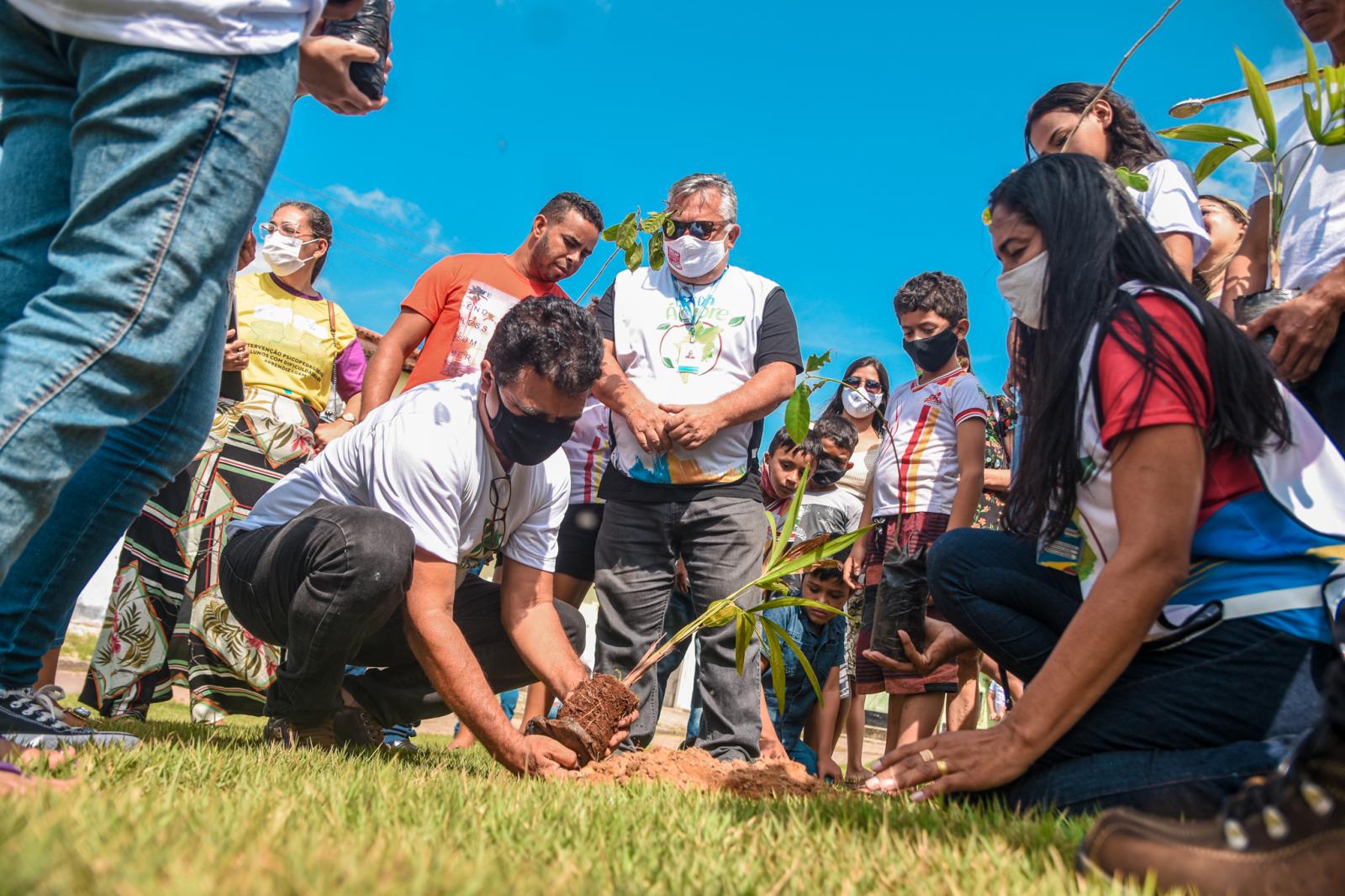 Plante uma esperança! Junco do Maranhão celebrou o Dia da Árvore com plantio de mudas e entrega dos cartões do Agente Jovem Ambiental