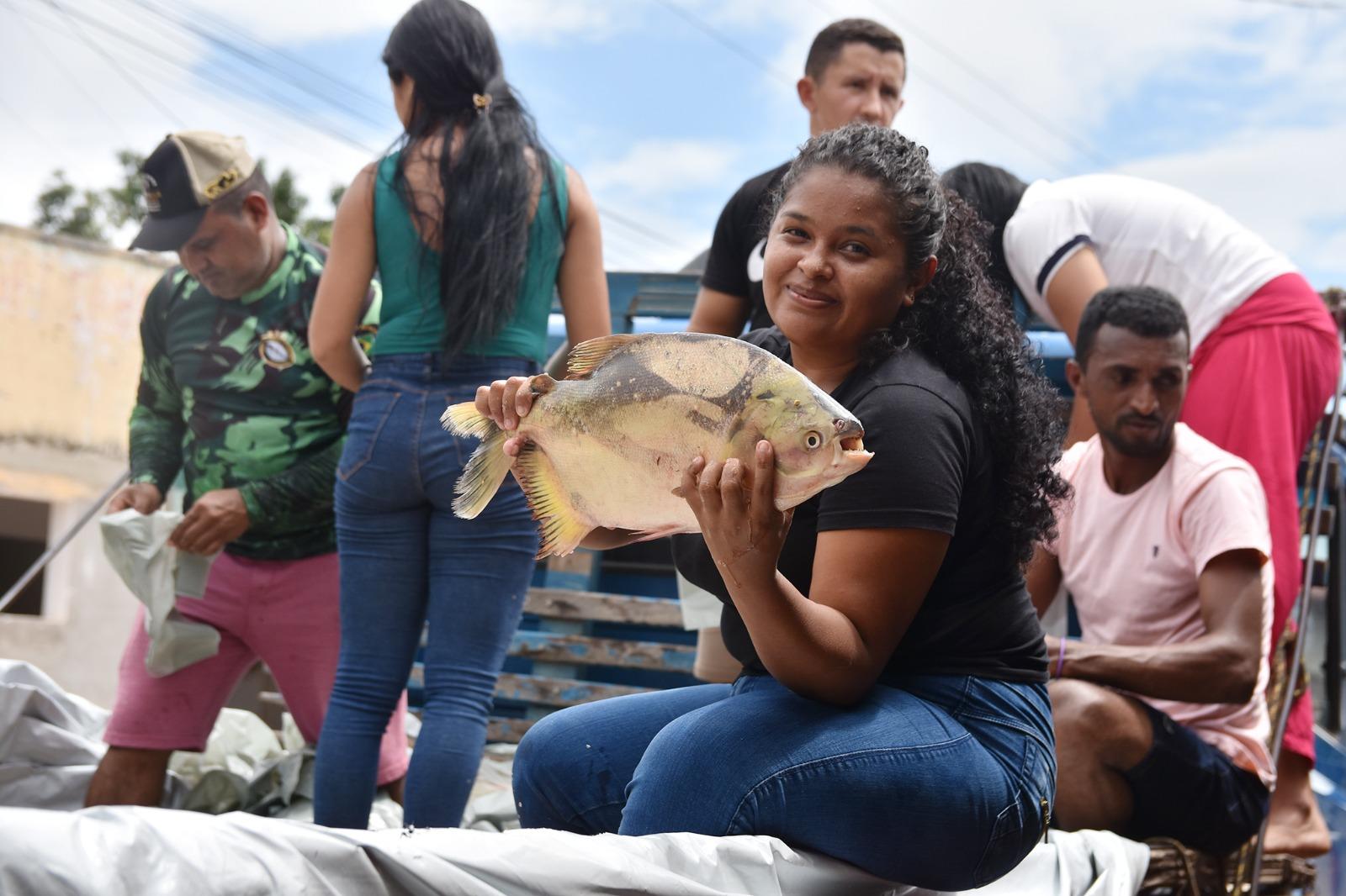 Toneladas de peixes distribuídas pela Prefeitura de Centro Novo; Alimento na Mesa de quem precisa