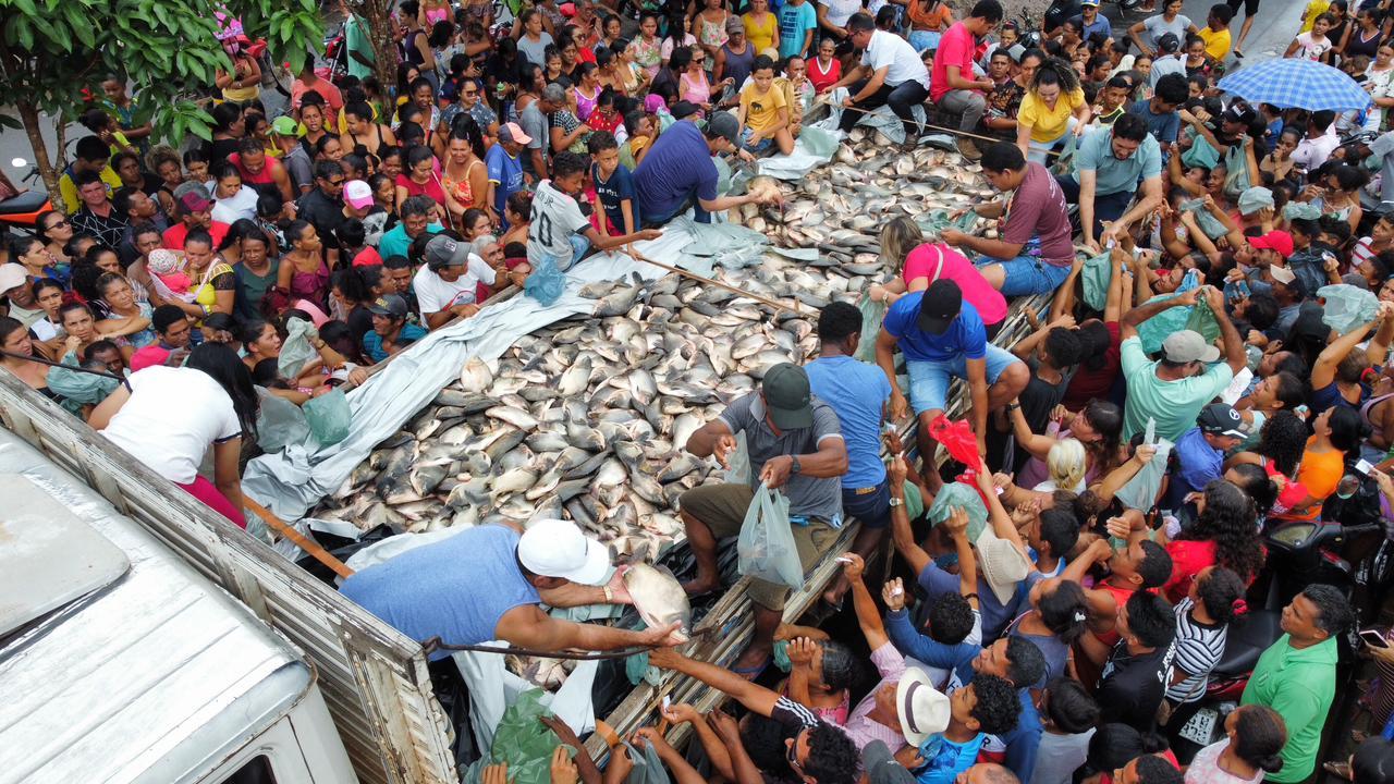 Toneladas de peixes distribuídas pela Prefeitura de Centro Novo; Alimento na Mesa de quem precisa